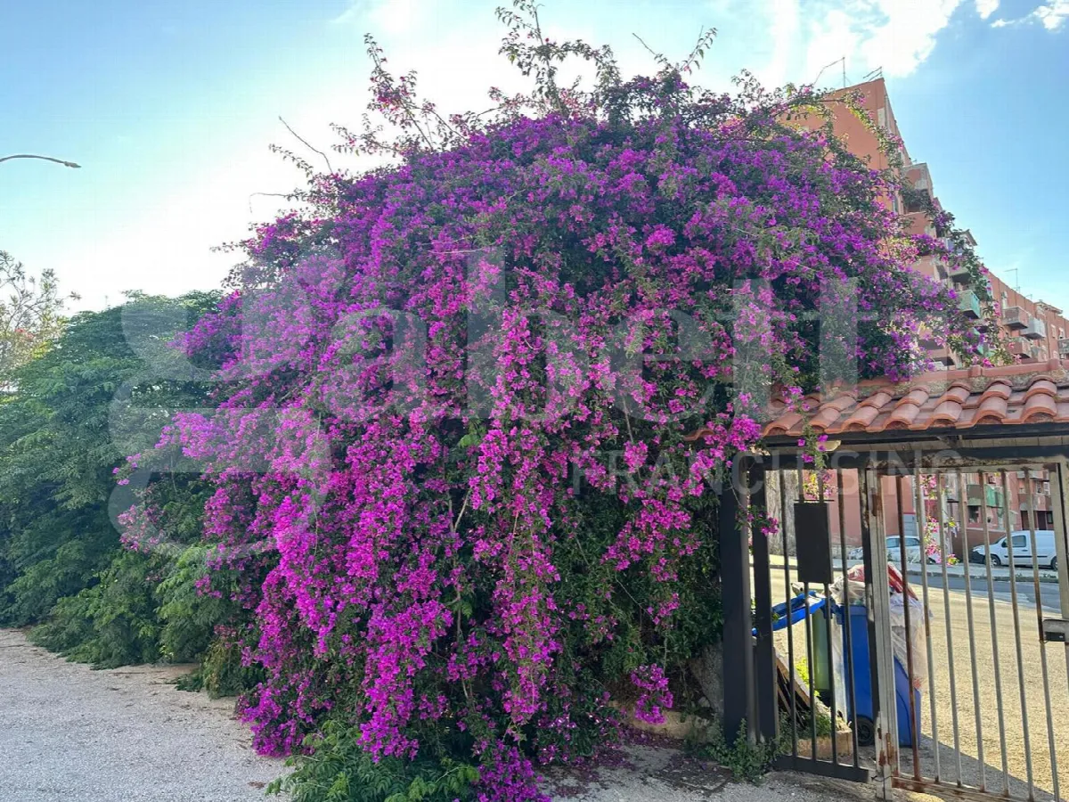 Appartamento in vendita a Siracusa - foto 5