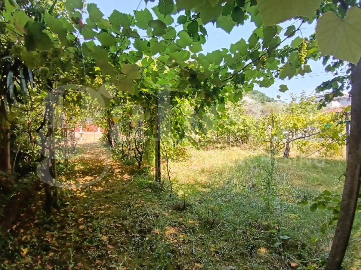 Appartamento in vendita a Carrara - foto 5