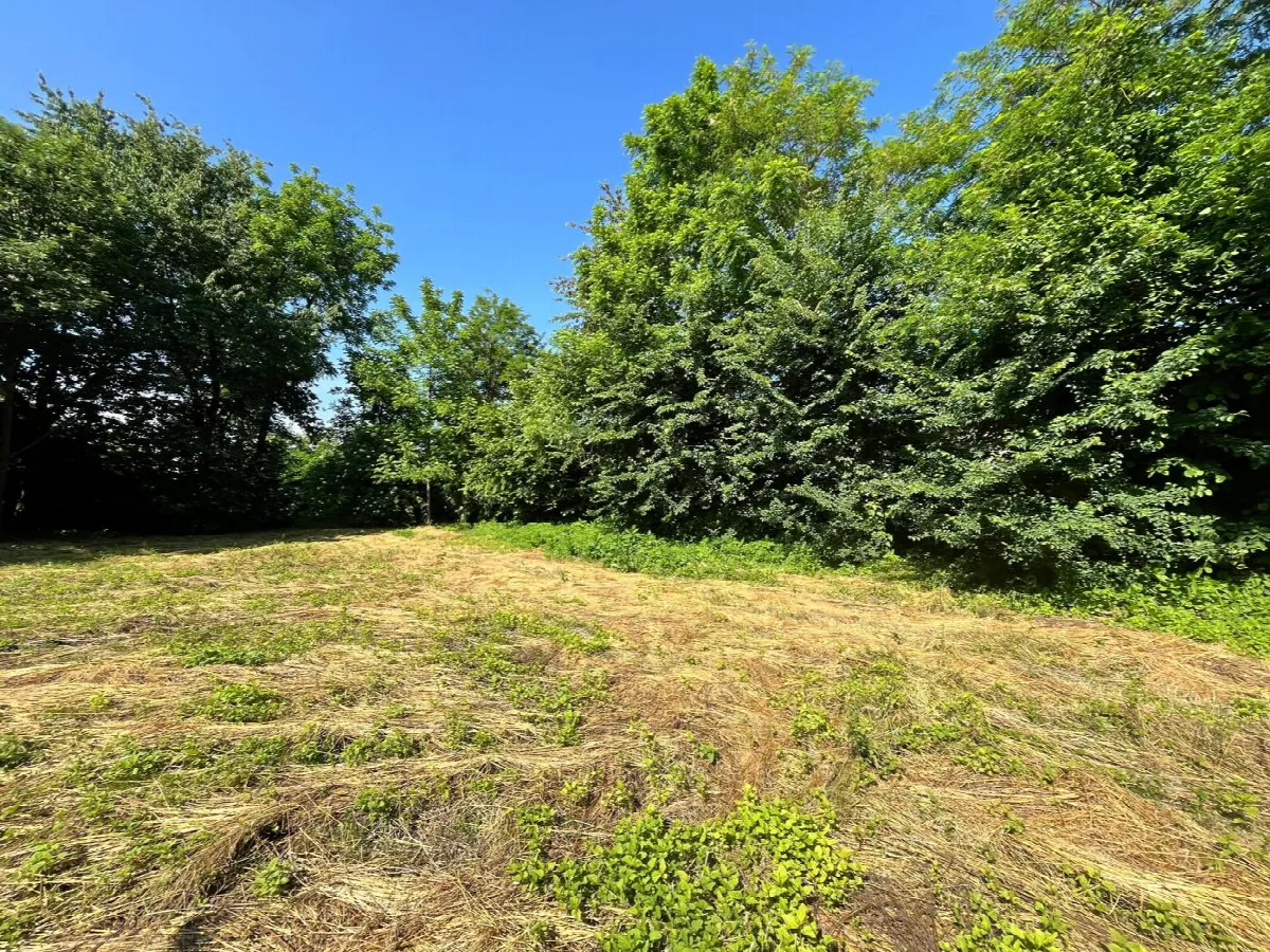 Rustico in vendita a Scarnafigi - foto 7