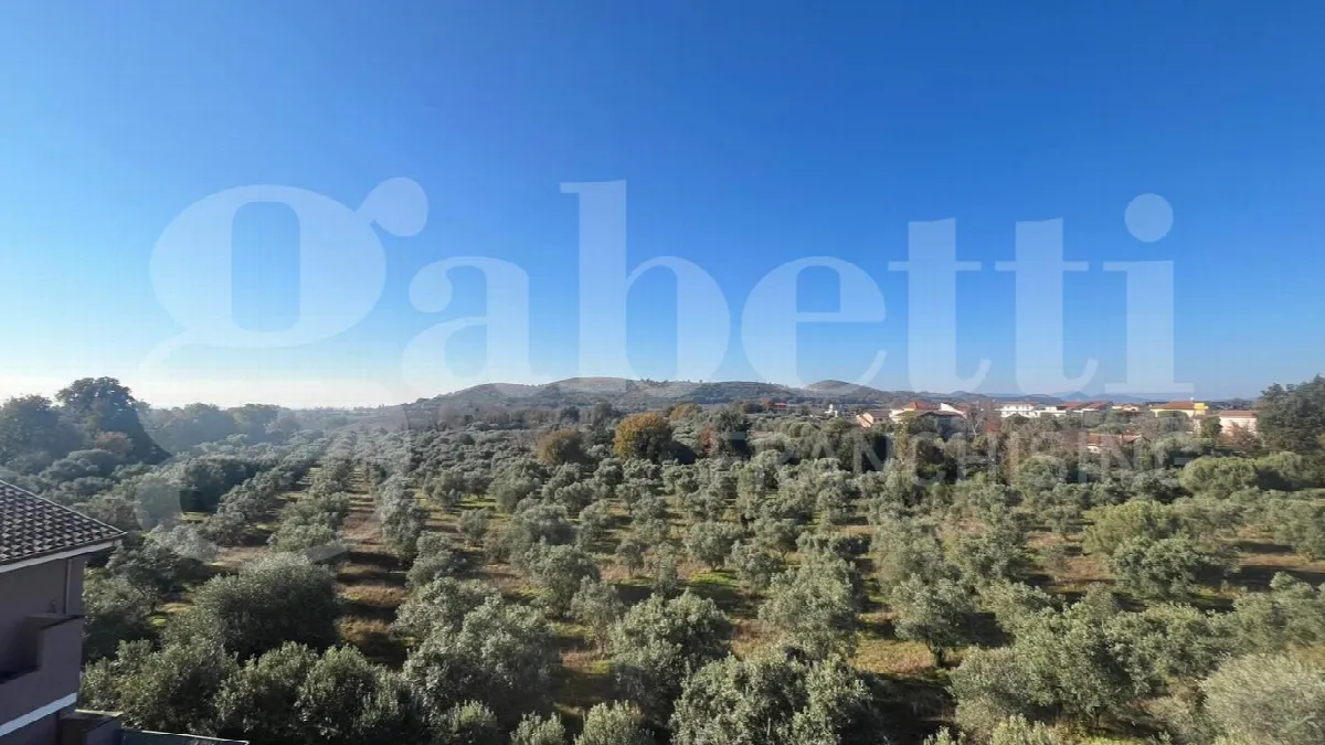 Appartamento in vendita a Calvi Risorta - foto 7