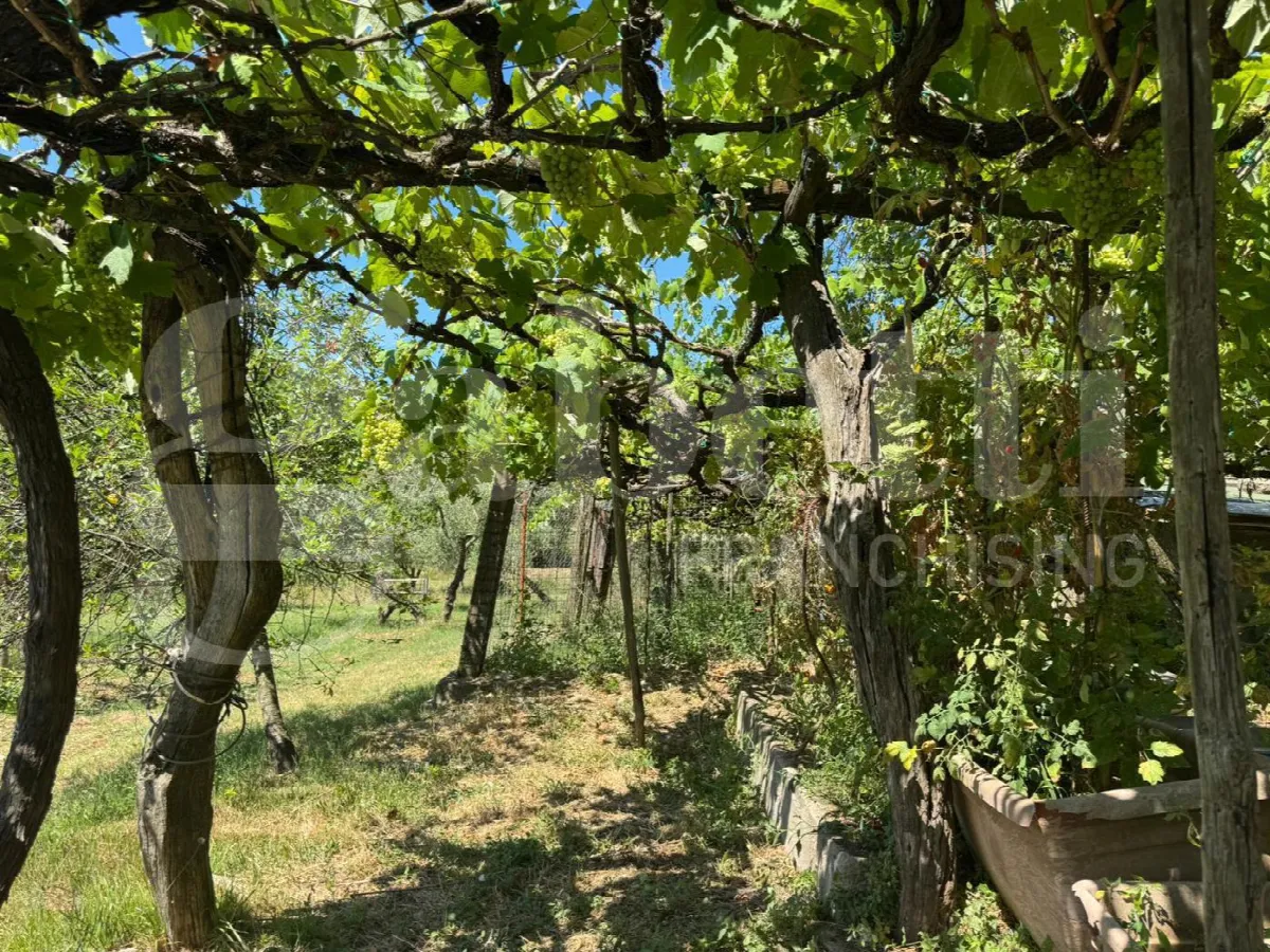 Casa indipendente in vendita a Formia - foto 5
