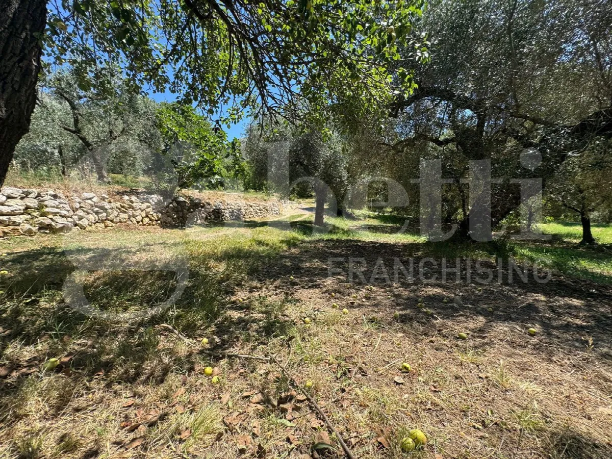 Casa indipendente in vendita a Formia - foto 6