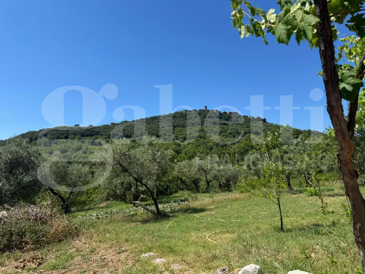 Casa indipendente in vendita a Formia - foto 7