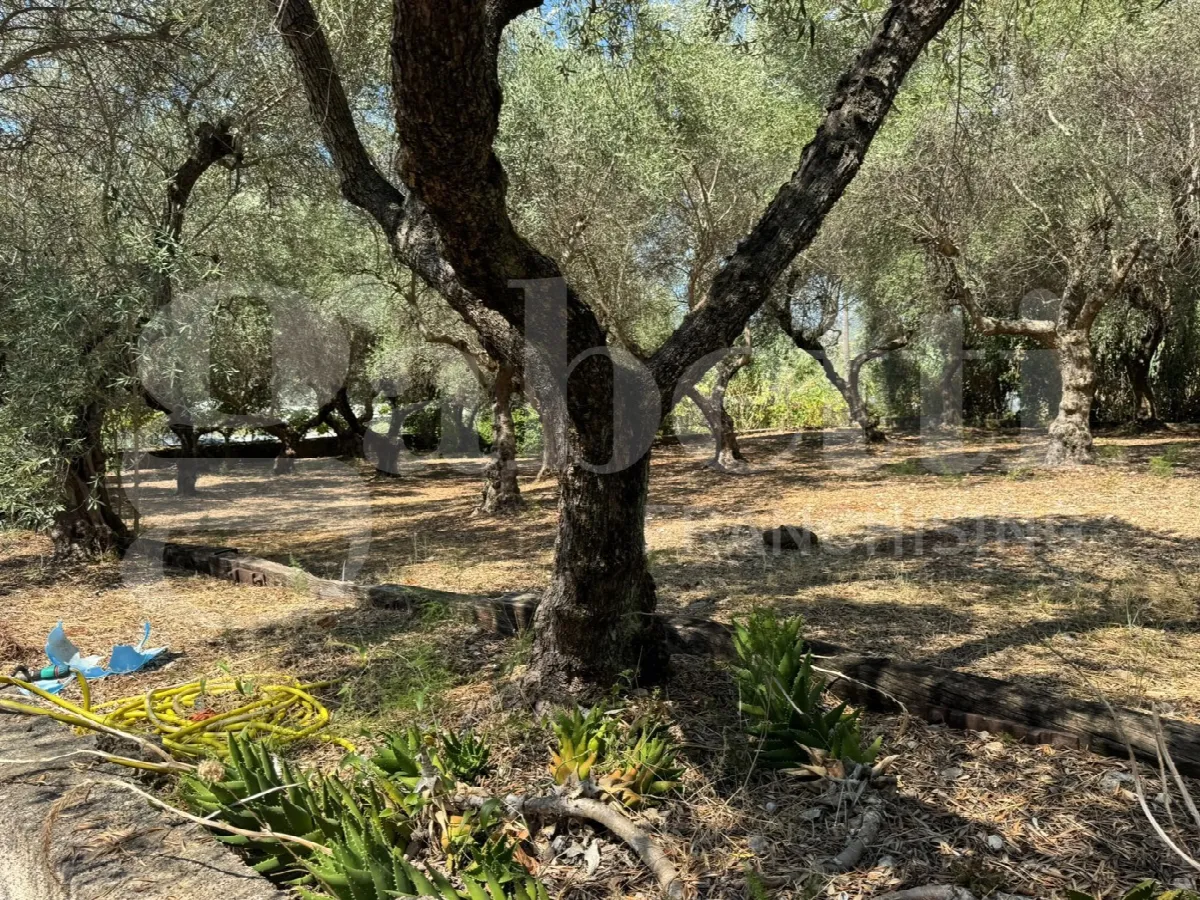Villa in vendita a Formia - foto 3