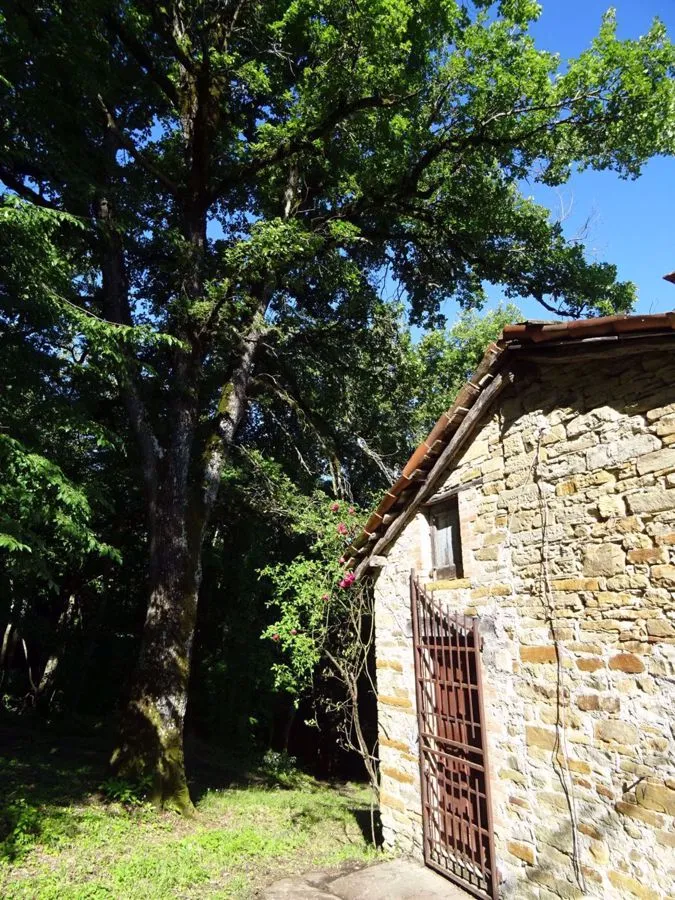 Rustico in vendita a Montese - foto 10