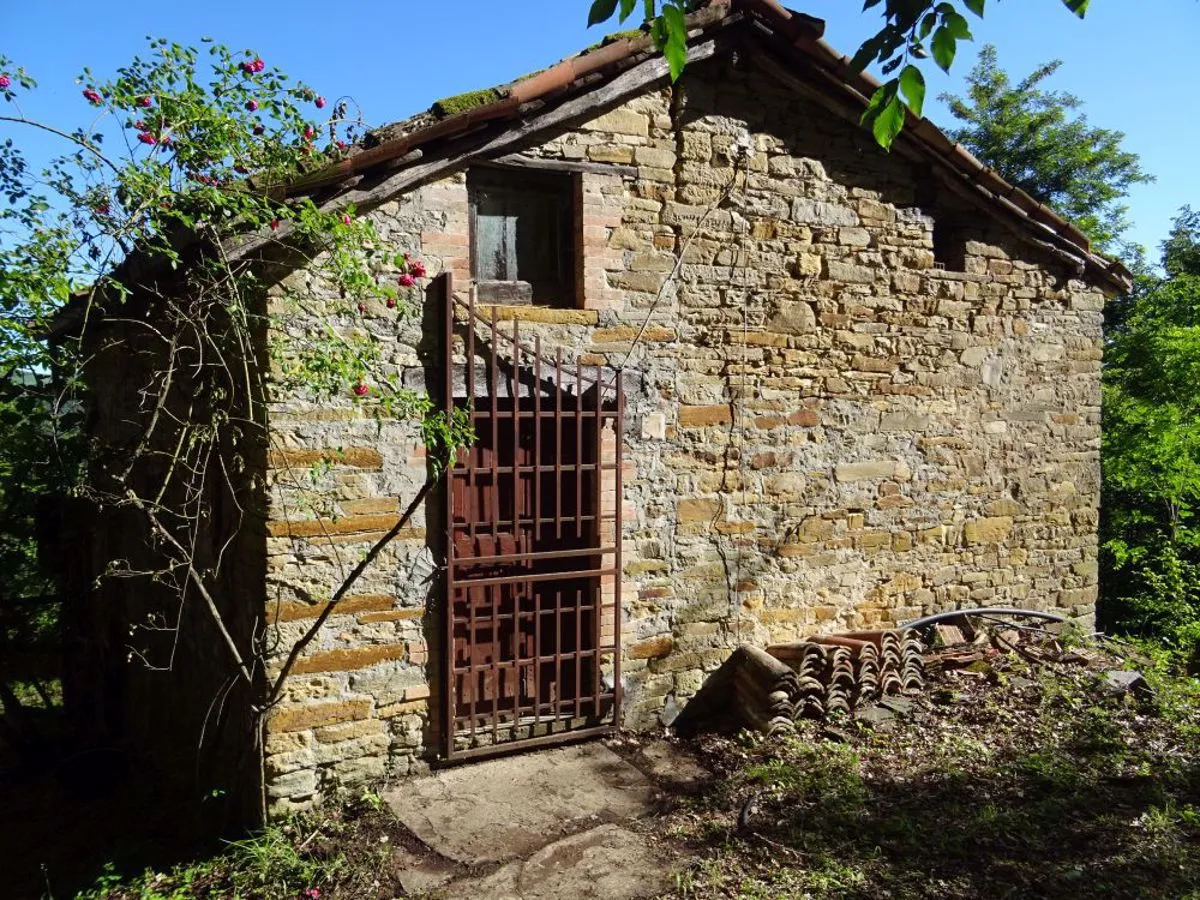Rustico in vendita a Montese - foto 6