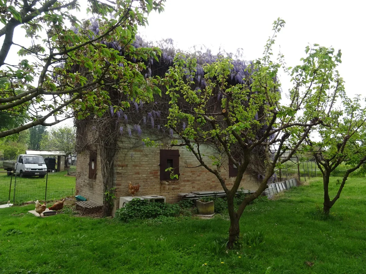 Rustico in vendita a Spilamberto - foto 4