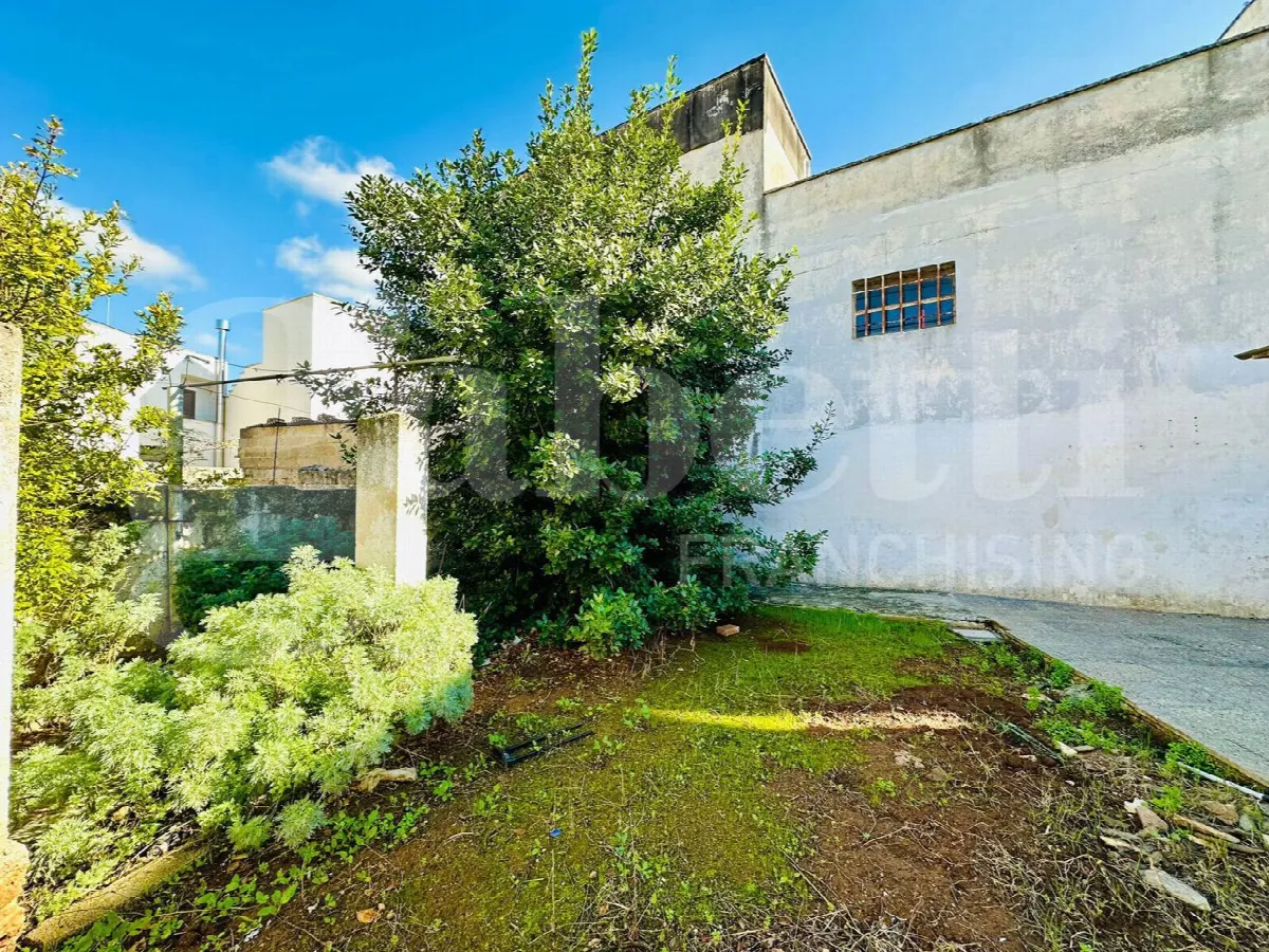 Casa indipendente in vendita a Alliste - foto 1