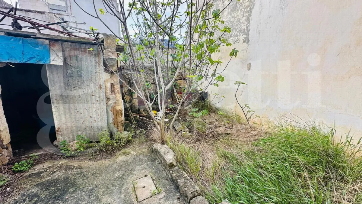 Casa indipendente in vendita a Alliste - foto 6