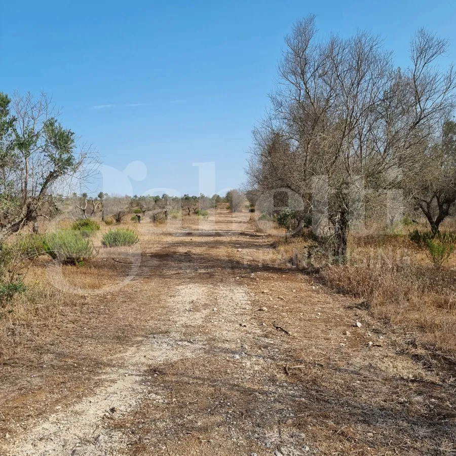 Rustico in vendita a Ugento - foto 6