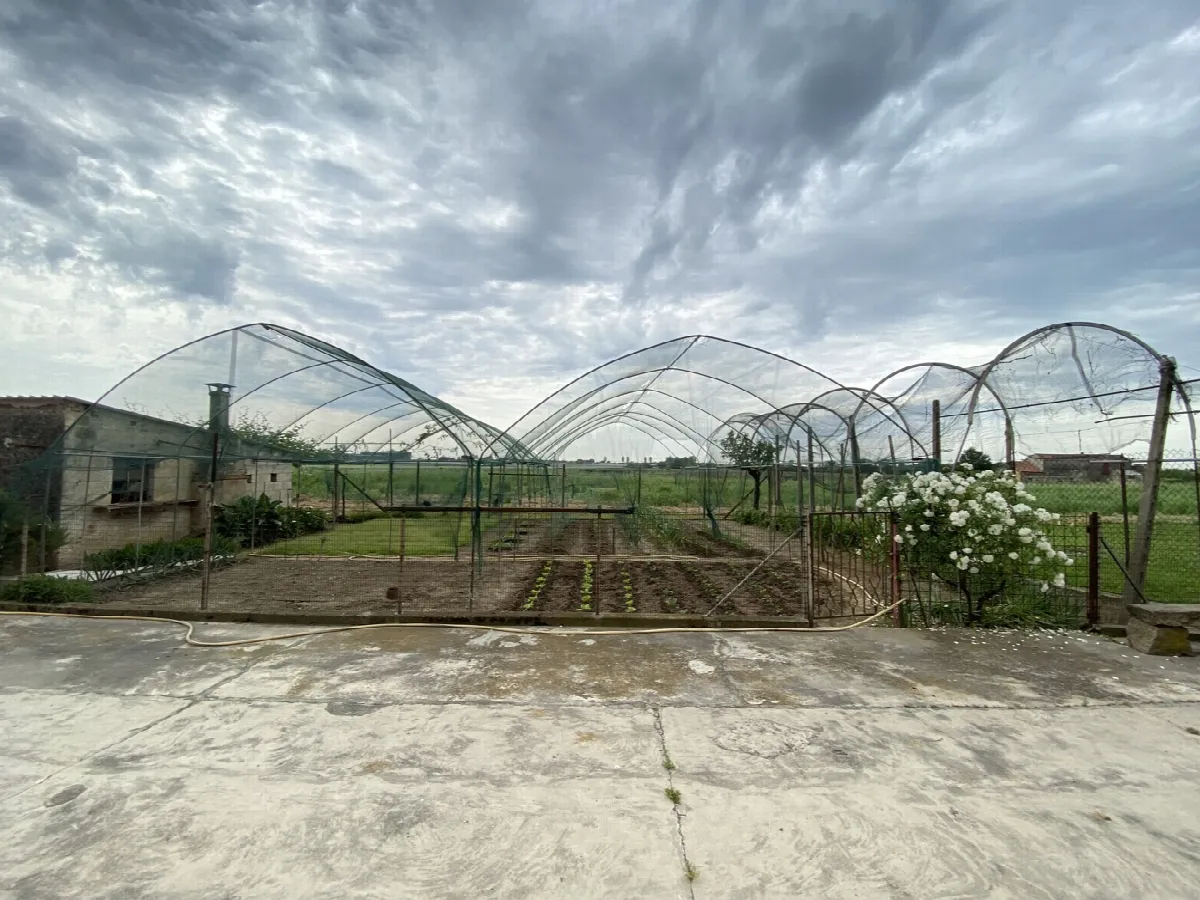 Stabile in vendita a Noventa Vicentina - foto 5