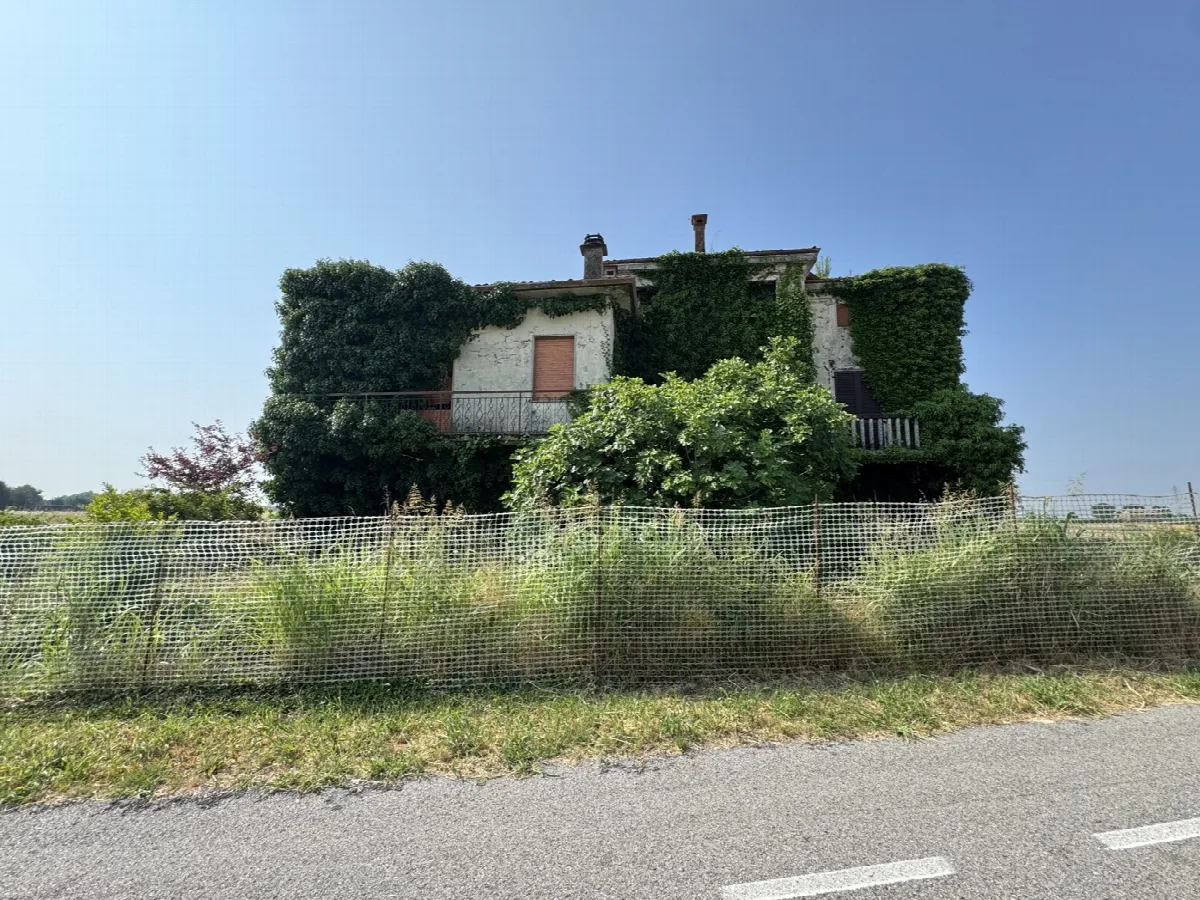 Stabile in vendita a Noventa Vicentina - foto 1