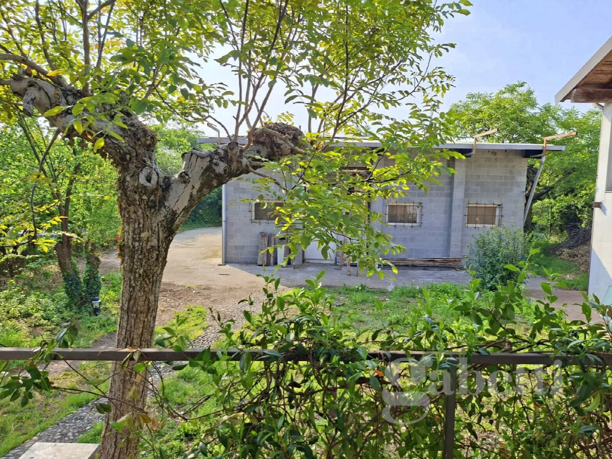 Casa indipendente in vendita a Robecchetto con Induno - foto 7