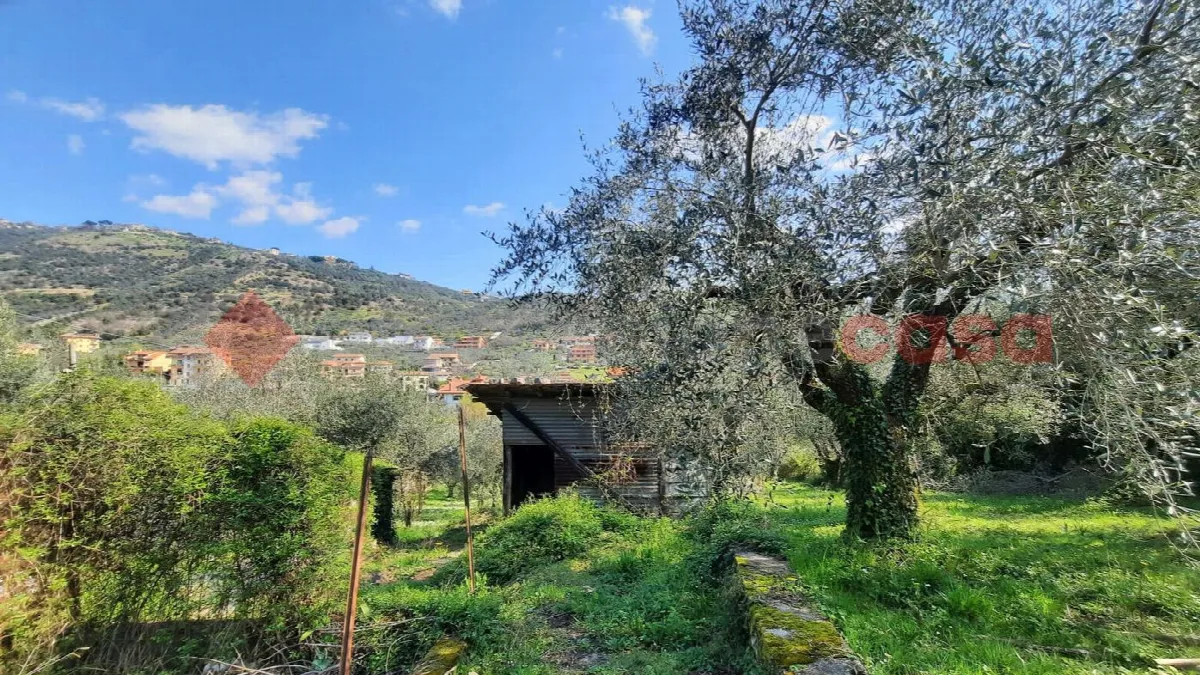 Casa indipendente in vendita a Boville Ernica - foto 5