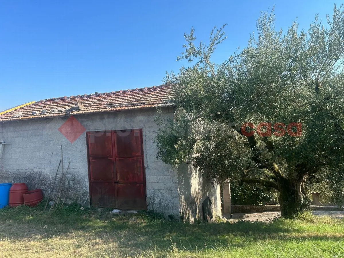 Rustico in vendita a Veroli - foto 10