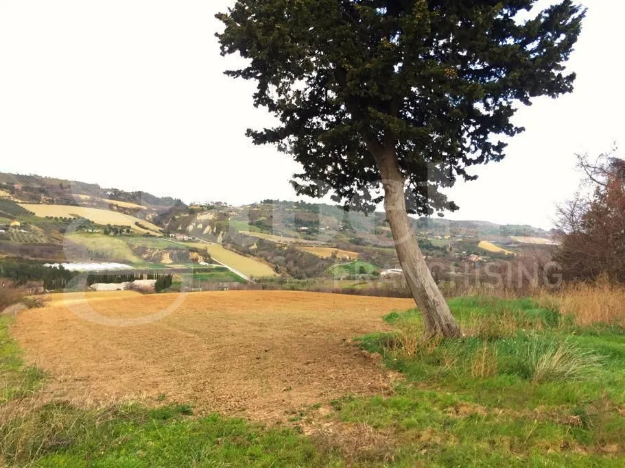 Rustico in vendita a Acquaviva Picena - foto 8