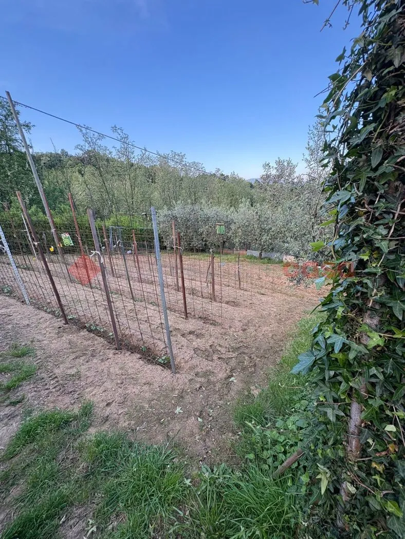 Villetta a schiera in vendita a Serravalle Pistoiese - foto 10