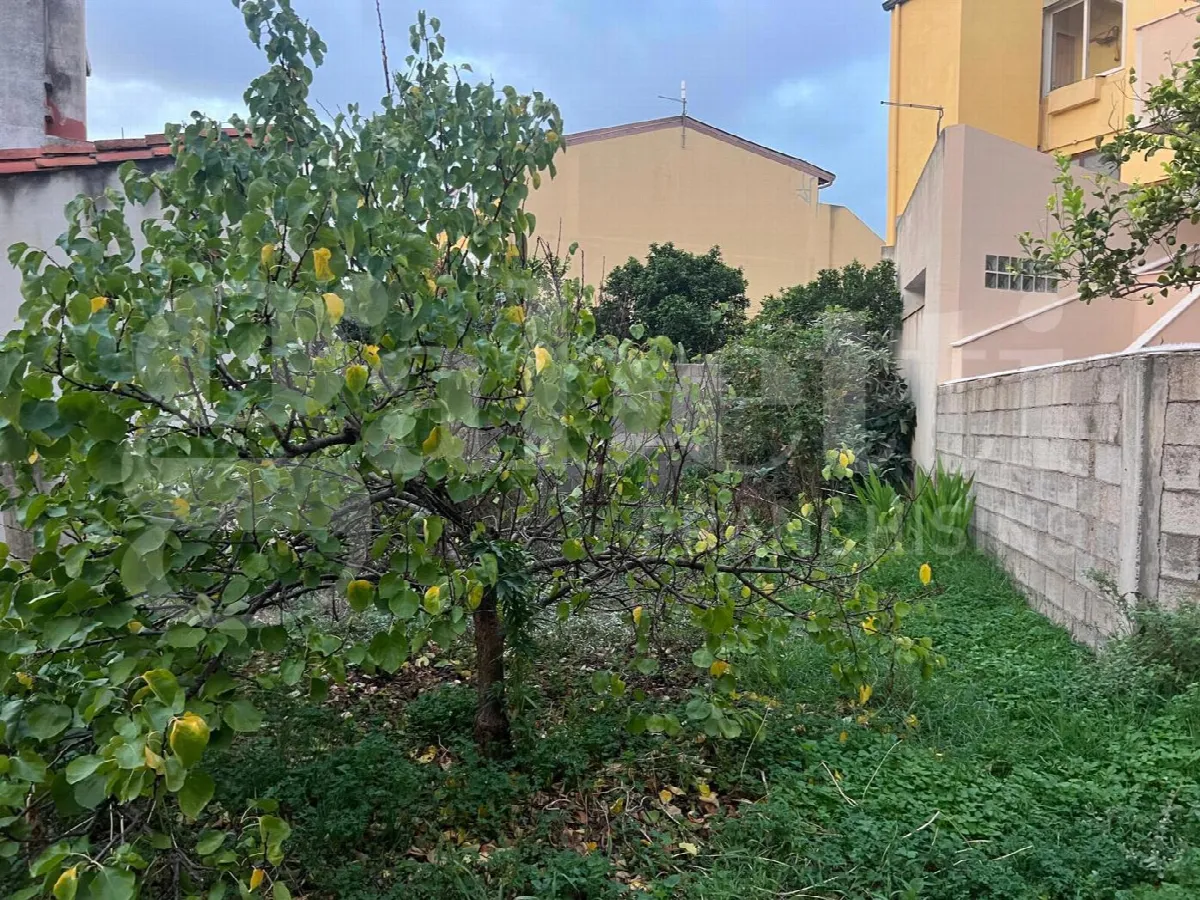Casa indipendente in vendita a Oristano - foto 6