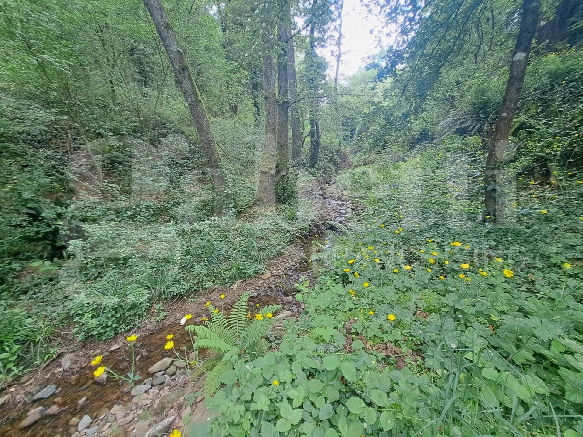 Rustico in vendita a Lamporecchio - foto 8