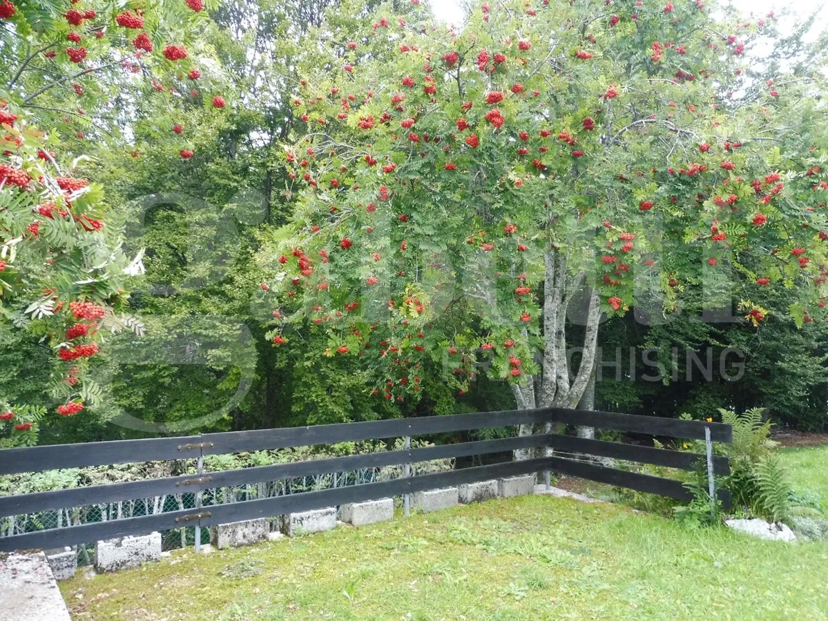 Villa in vendita a Solagna - foto 5