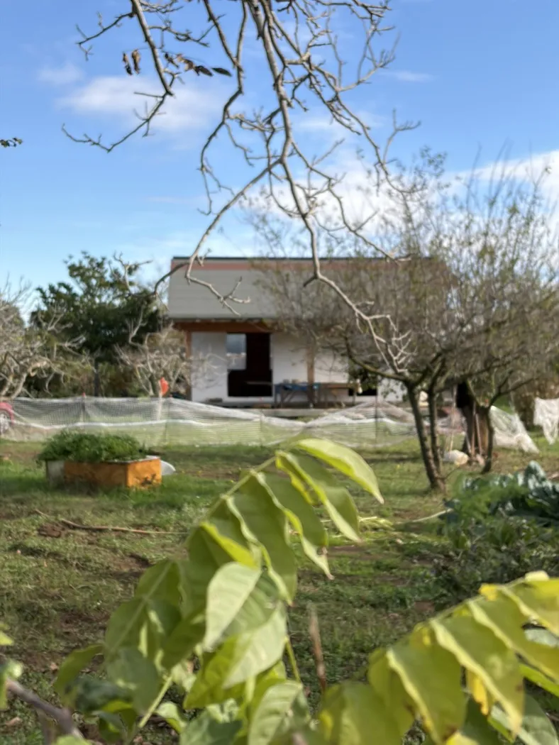 Rustico in vendita a Ladispoli - foto 4