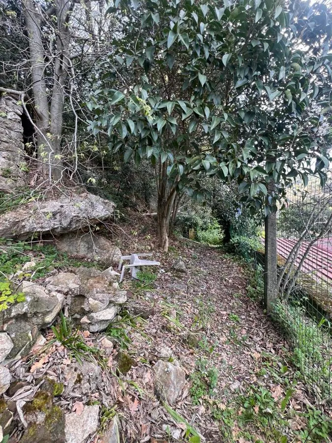Casa indipendente in vendita a Narni - foto 9