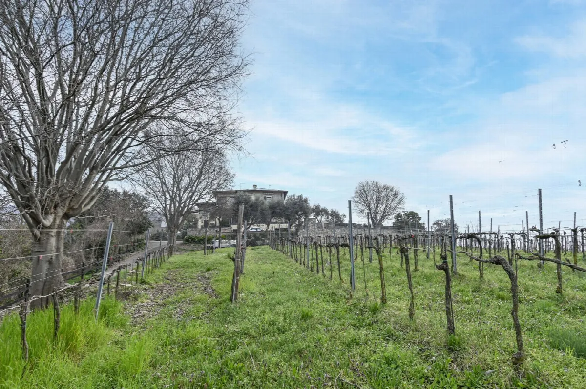 Villa in vendita a Chiuduno - foto 4