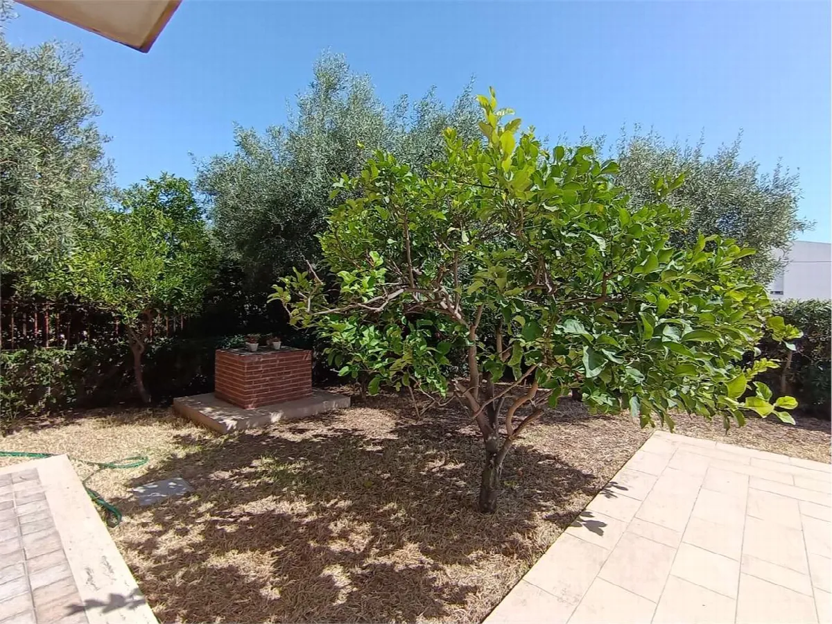 Villa in vendita a Siracusa - Isola - foto 3