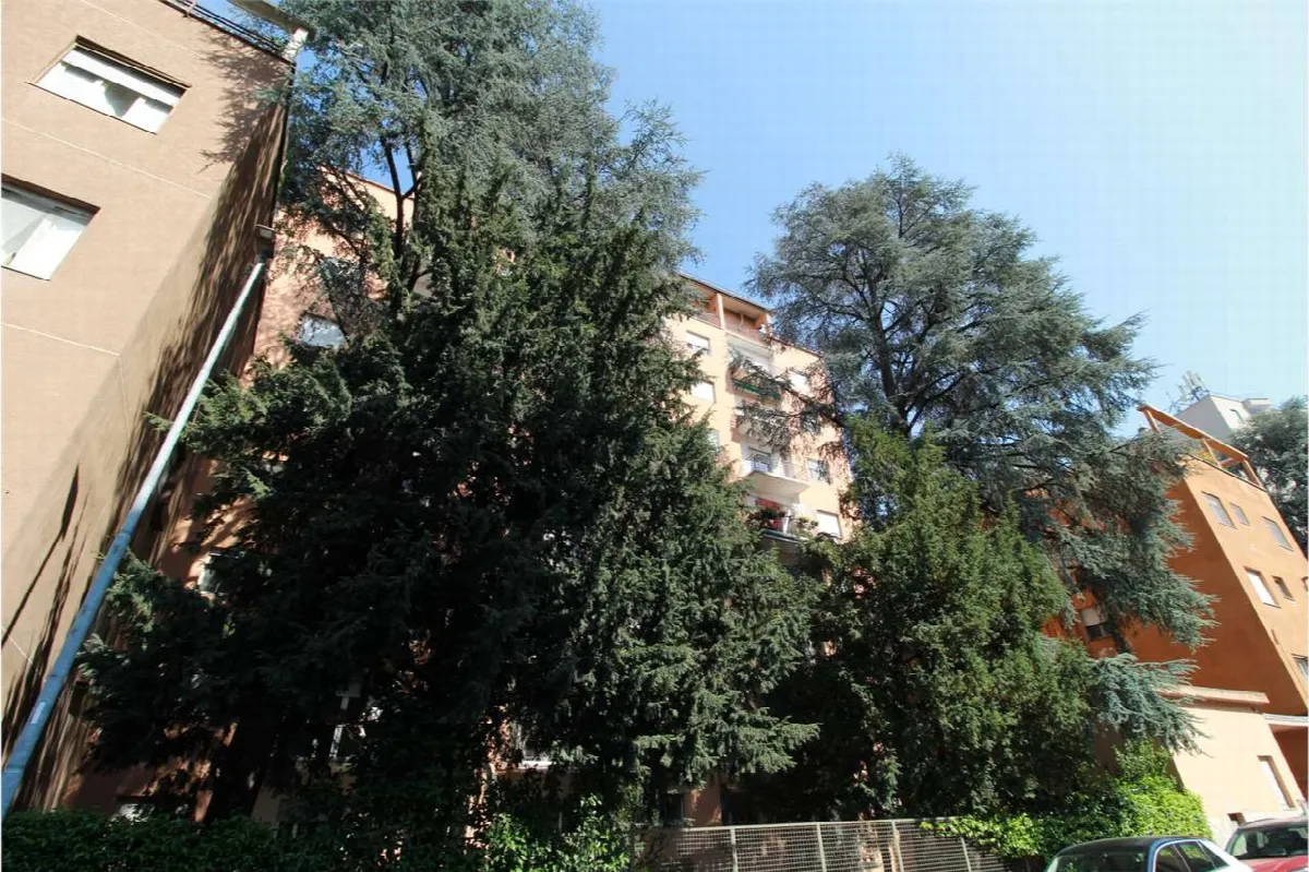 Appartamento in vendita a Novara - Porta Mortara - foto 2