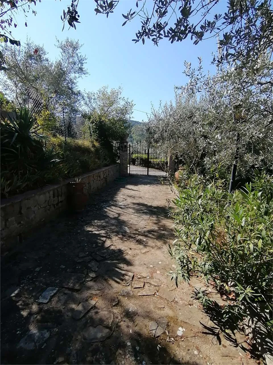 Villa in vendita a Torgiano - Signoria - foto 4
