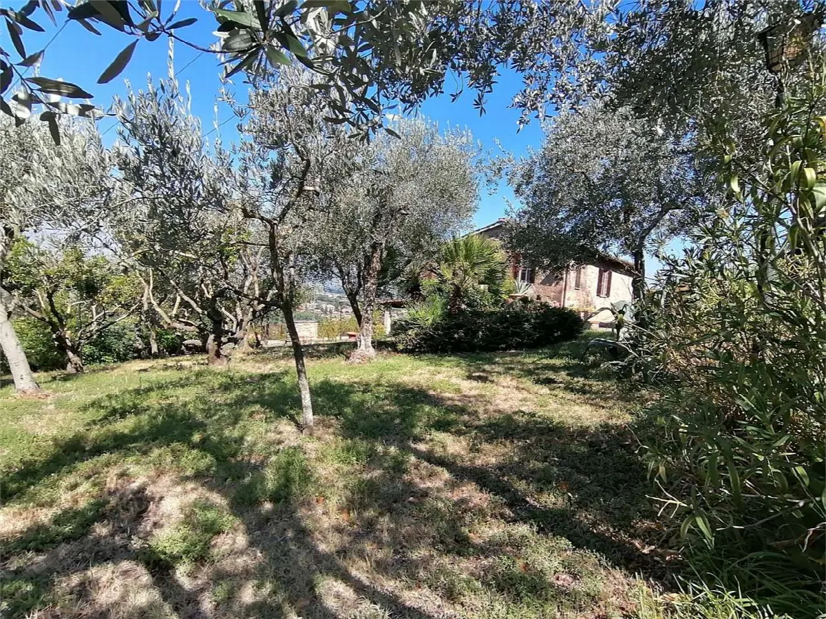 Villa in vendita a Torgiano - Signoria - foto 6