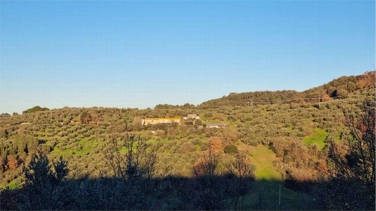 Rustico in vendita a Torgiano - foto 1
