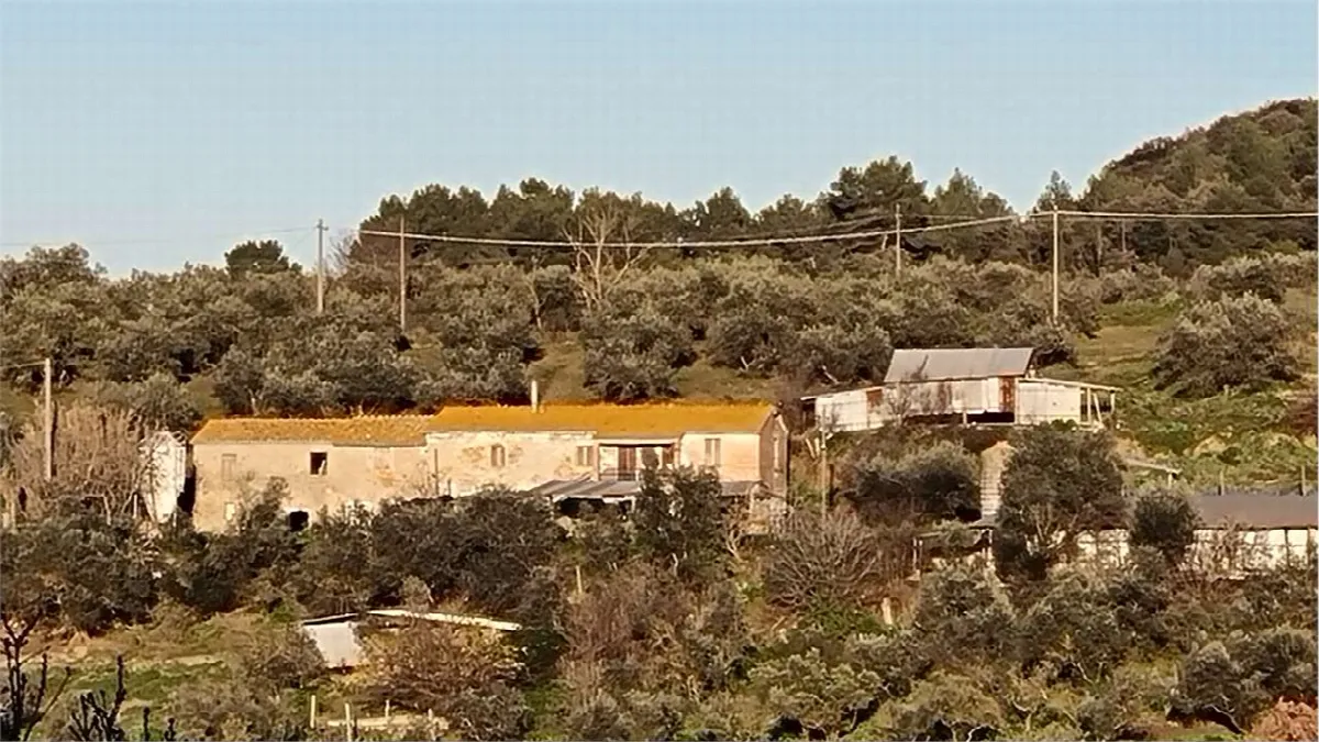 Rustico in vendita a Torgiano - foto 2