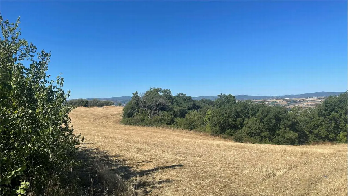 Rustico in vendita a Deruta - Casalina - foto 7