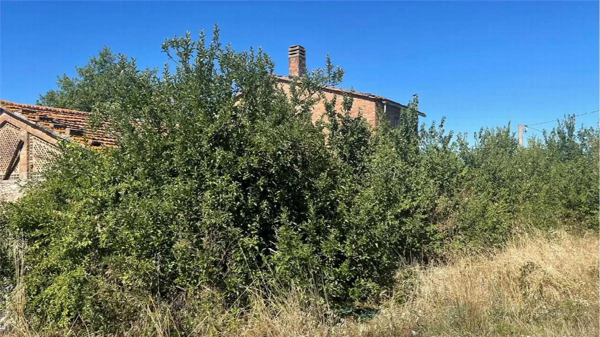 Rustico in vendita a Deruta - Casalina - foto 8