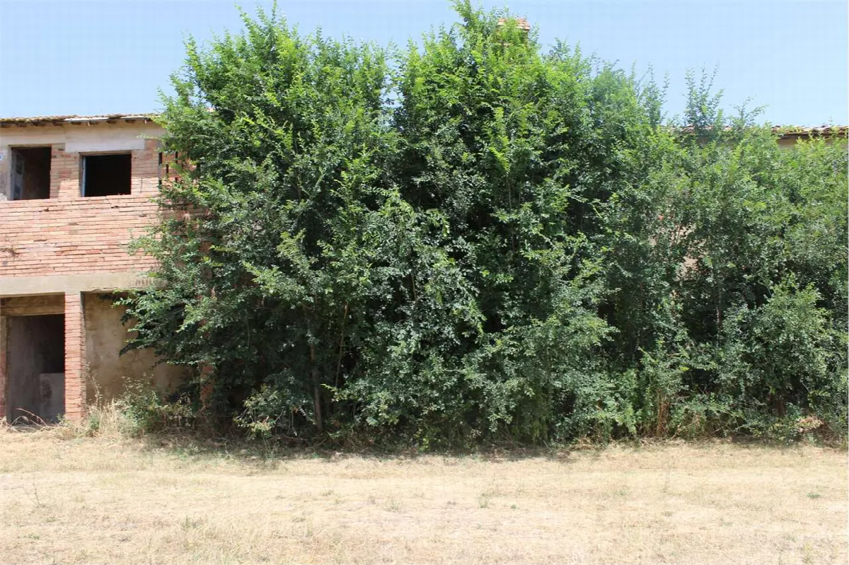 Rustico in vendita a Marsciano - San Biagio della Valle - foto 2