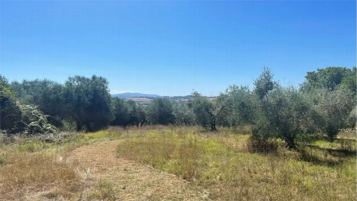 Rustico in vendita a Marsciano - San Biagio della Valle - foto 7