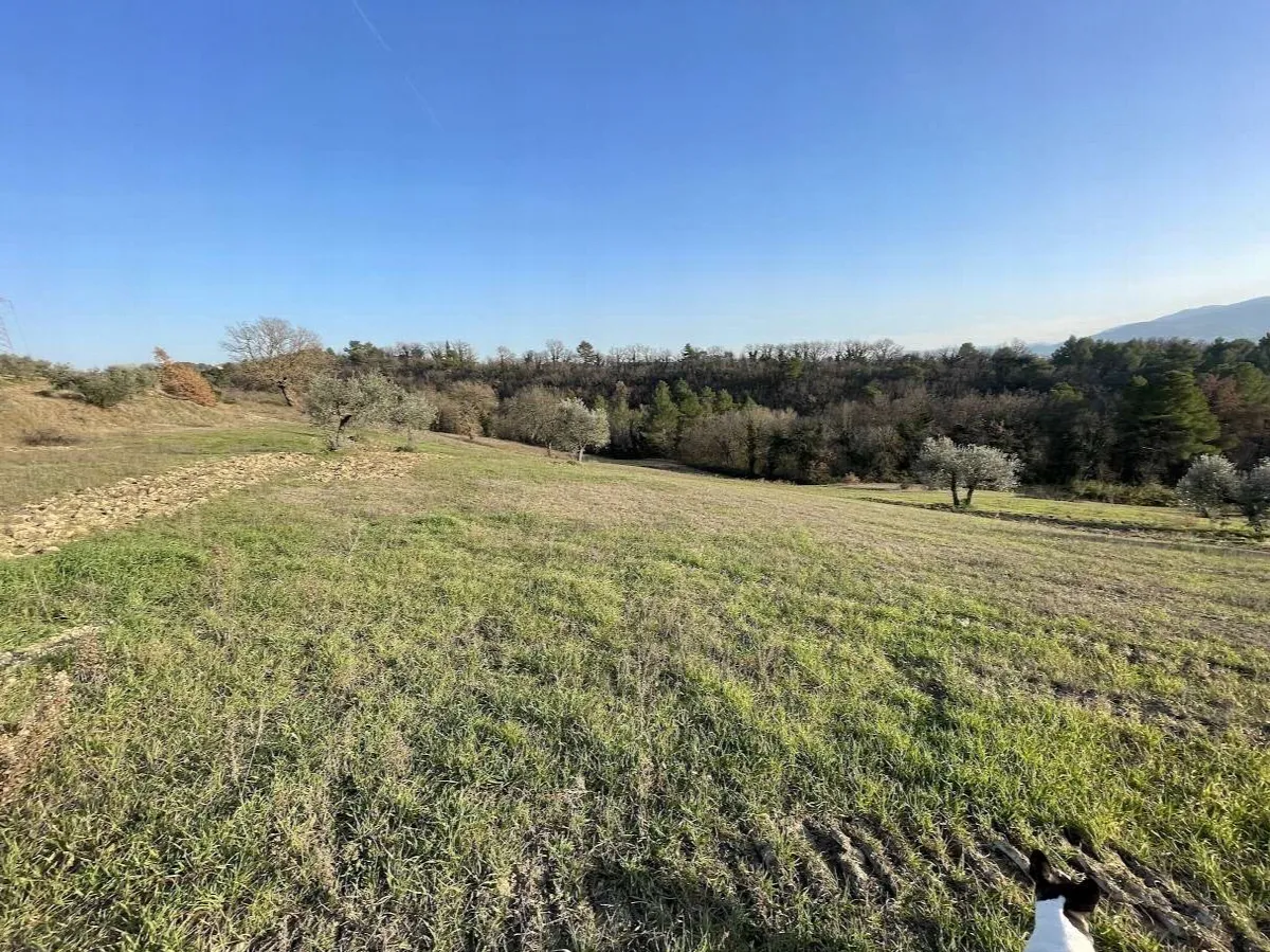 Rustico in vendita a Montefalco - foto 6