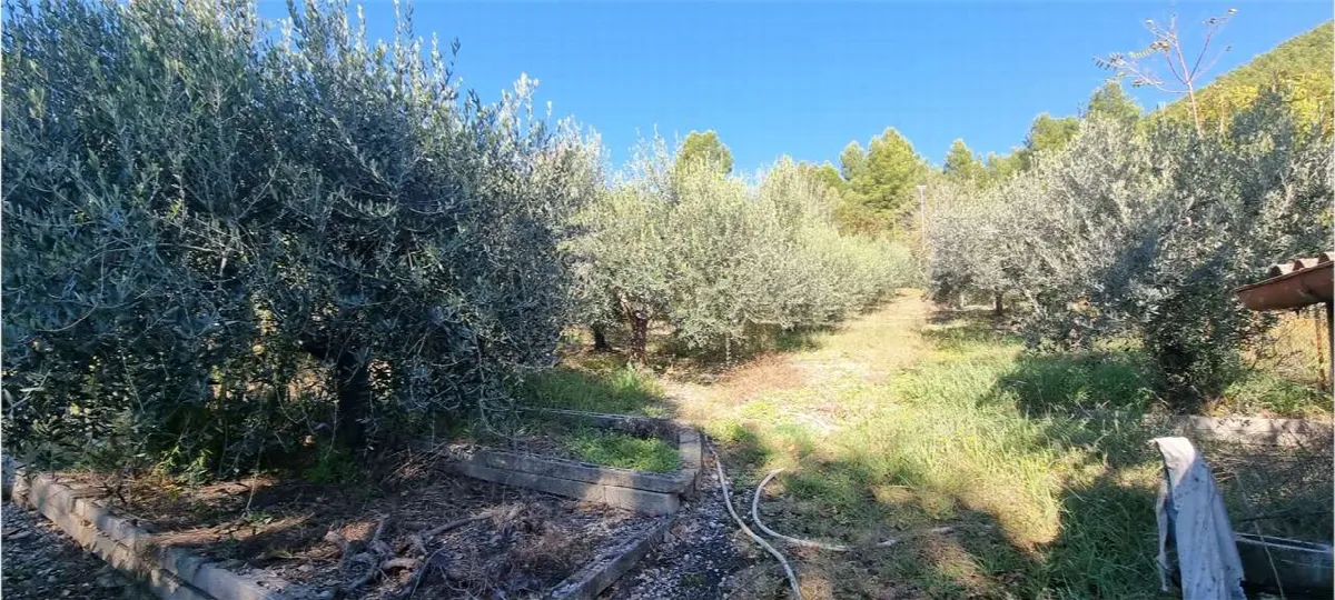 Appartamento in vendita a Campello sul Clitunno - Pissignano - foto 7