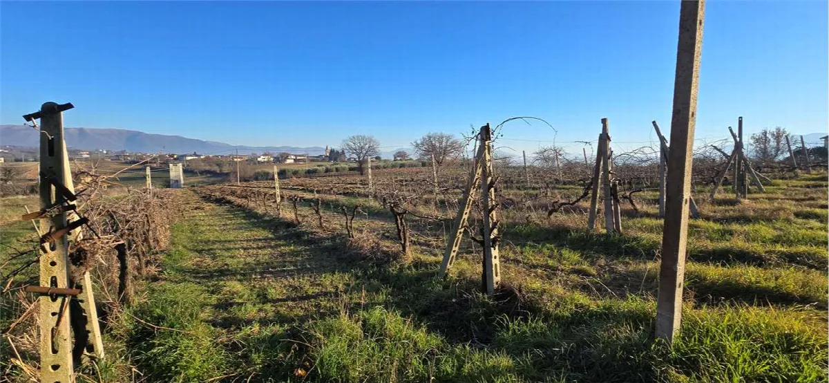 Villa in vendita a Montefalco - Casale - foto 3