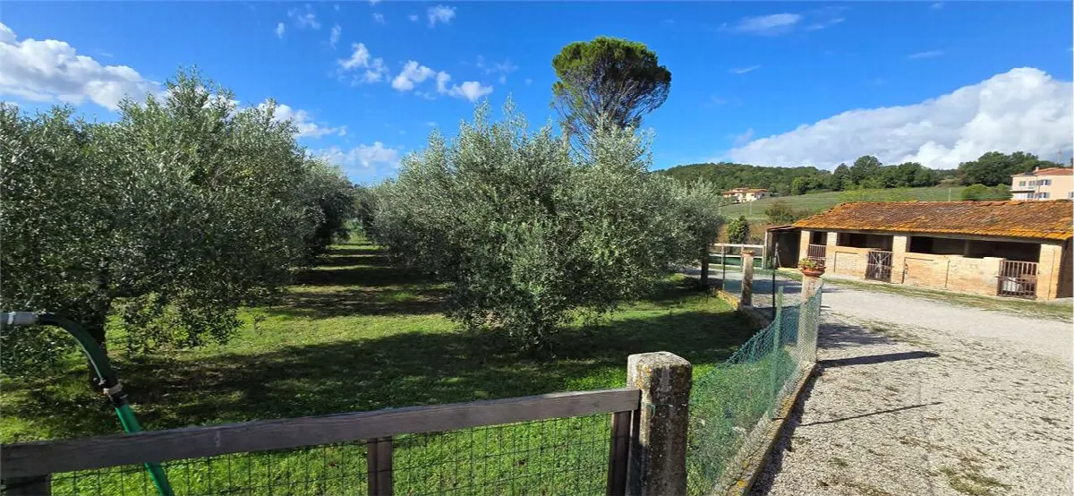 Rustico in vendita a Perugia - Piccione - foto 8