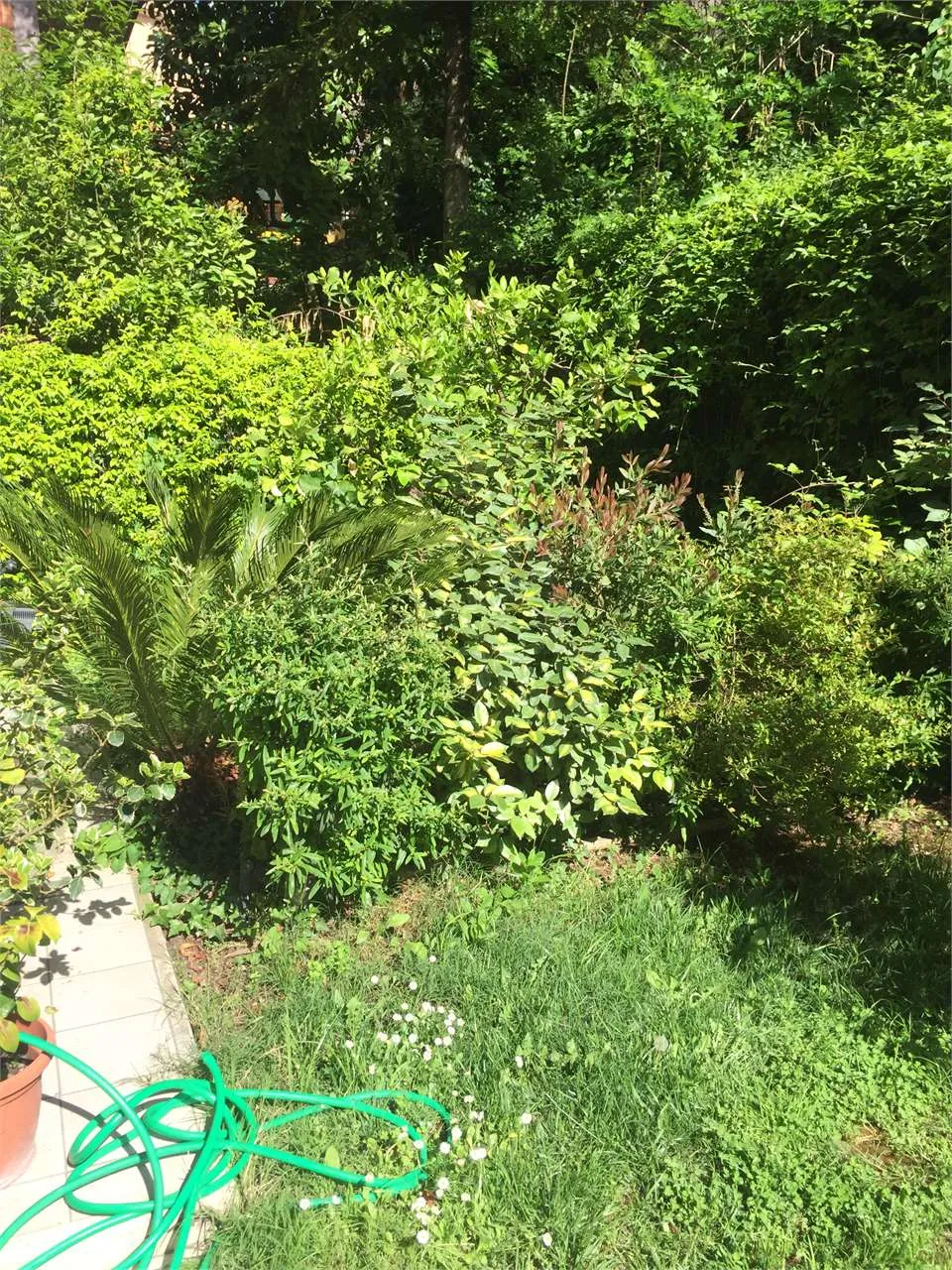 Appartamento in vendita a Frosinone - Centro - foto 10