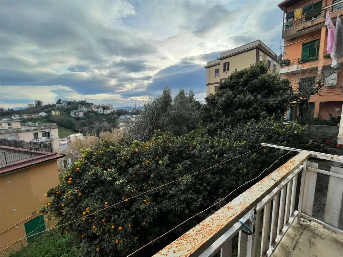 Appartamento in vendita a Frosinone - foto 2