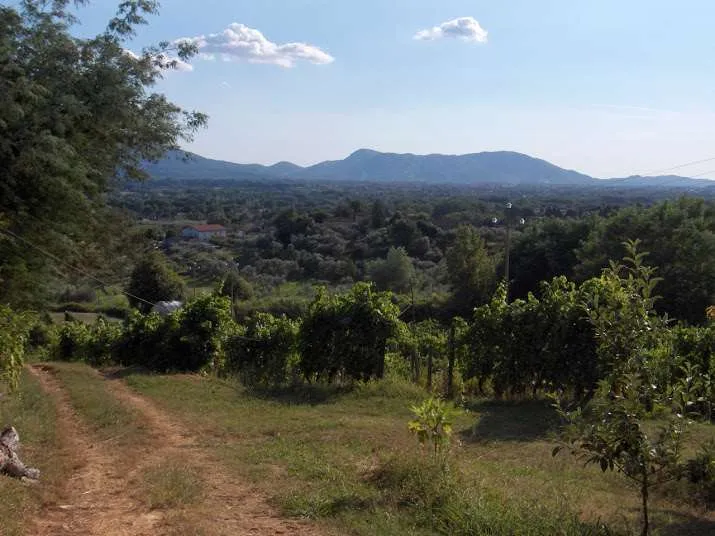Rustico in vendita a Capannori - Tofori - foto 10