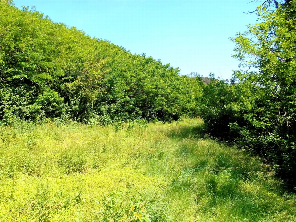 Rustico in vendita a Capannori - Pieve Di Compito - foto 10