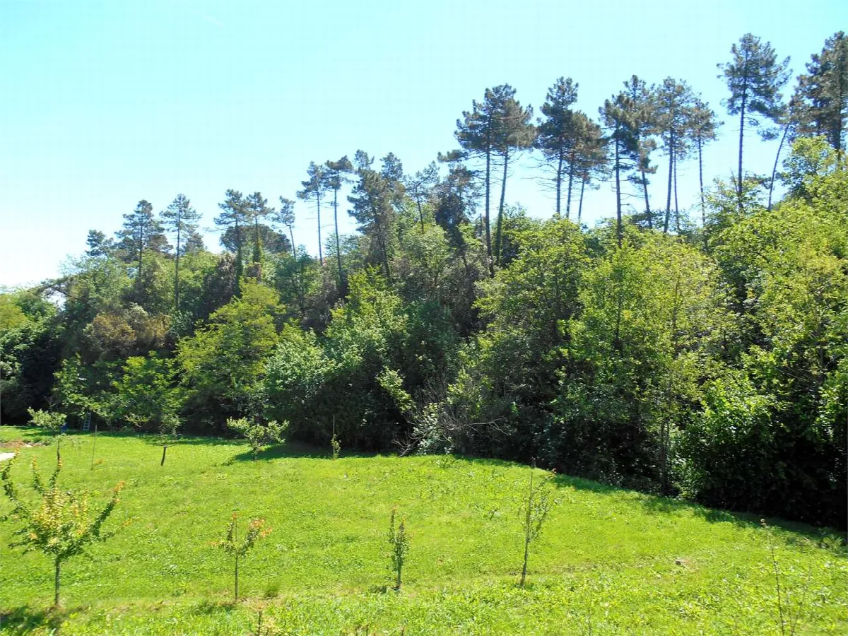 Rustico in vendita a Capannori - Pieve Di Compito - foto 5
