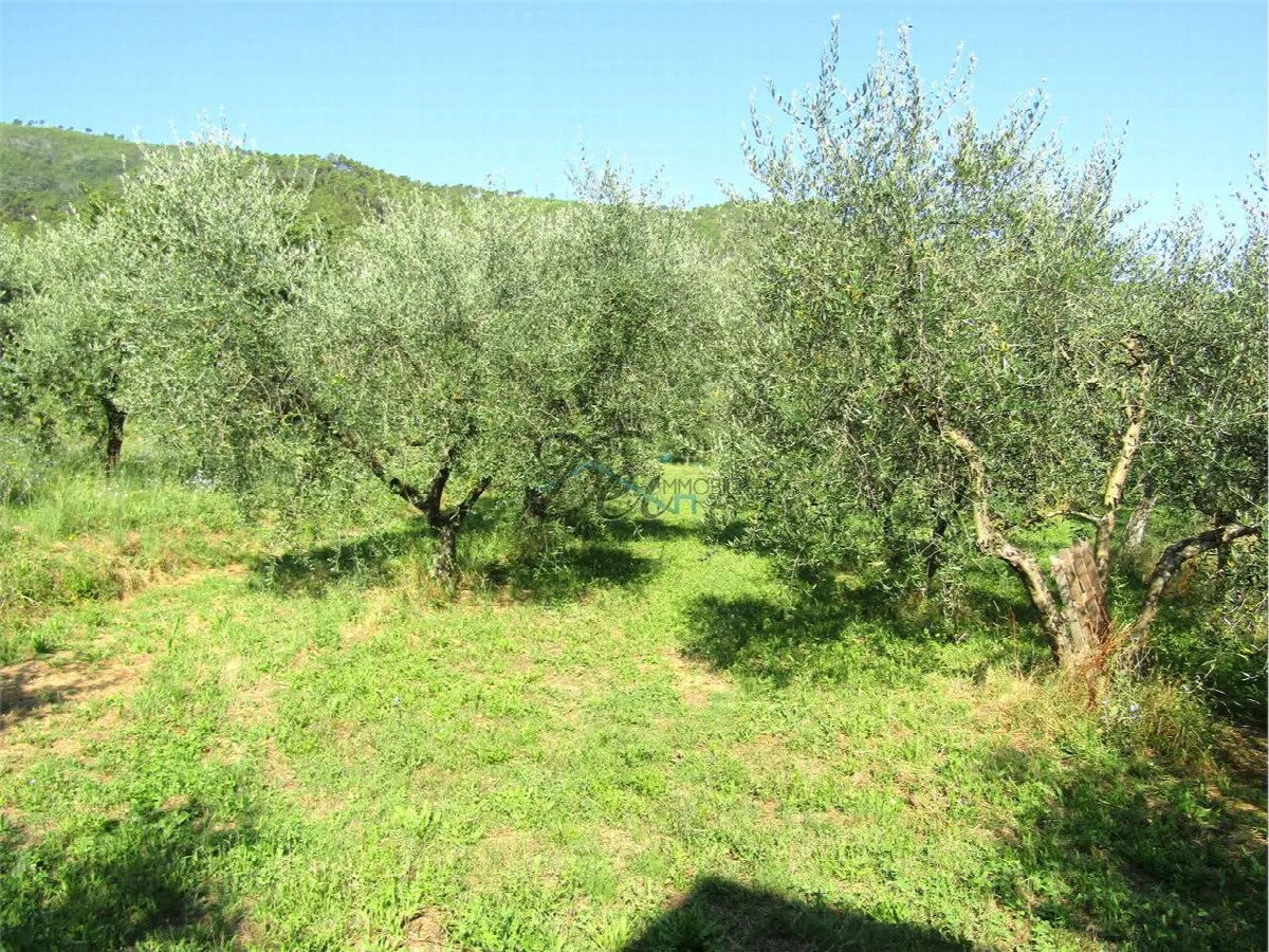 Villa in vendita a Capannori - San Giusto di Compito - foto 8