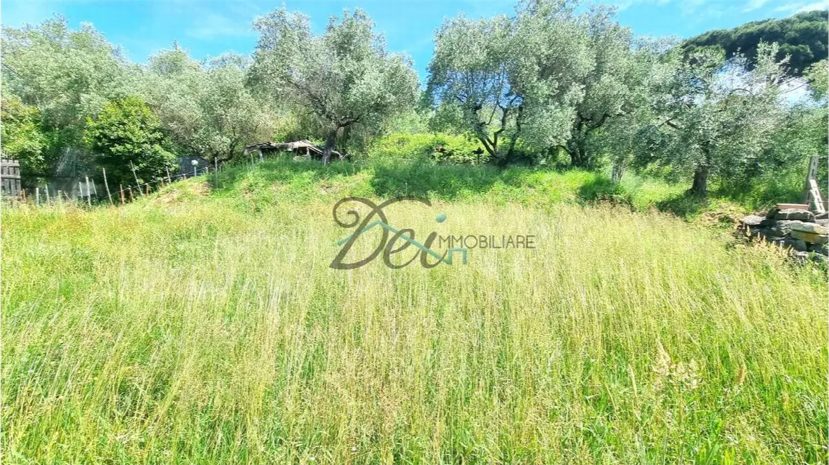 Rustico in vendita a Montecarlo - foto 4