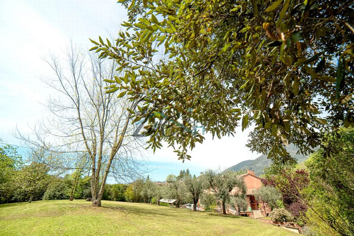 Rustico in vendita a Camaiore - foto 5