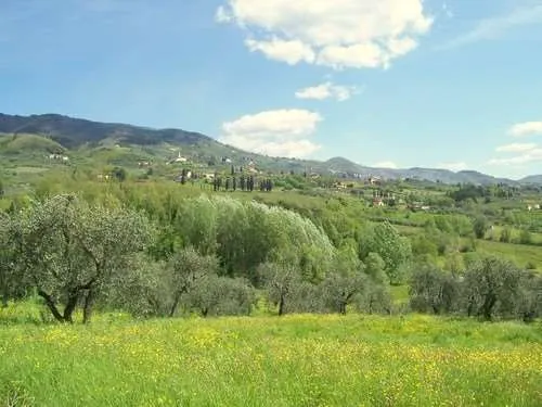 Villa in vendita a Capannori - Tofori - foto 1